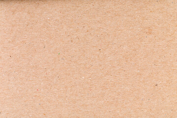 The texture of pressed beige cardboard.