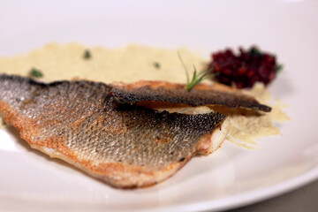 Fish fillet with puree on a white plate. Close up. Side view.