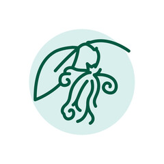 Ylang ylang olor line icon. Pictogram for web page