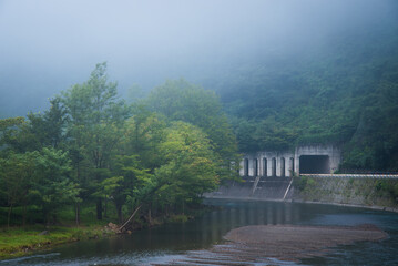 Fototapeta premium 田舎の川