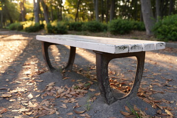 秋の公園のベンチ