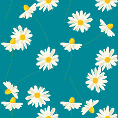 Obraz premium Seamless pattern with herbal chamomile illustration on blue background