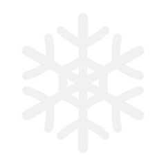 snowflakes in winter