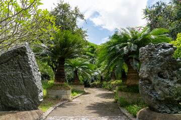 Beautiful curved path in the garden among palm trees and stones. Blue sky with big white clouds.