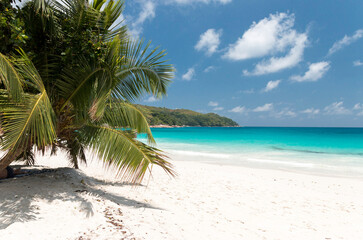 Obraz na płótnie Canvas idyllic tropical beach