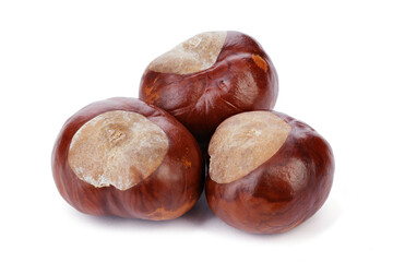 Bunch of horse chestnuts isolated on white