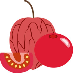 Colorful food fruit red cape gooseberry physalis