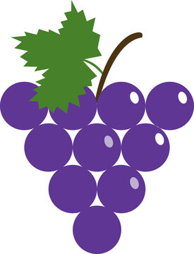 Colorful cartoon food fruit grape