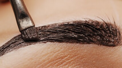 Woman having Eyebrow coloring procedure at beauty salon. Professional lamination procedures of...