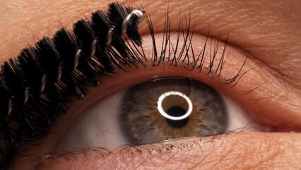Making makeup in a beauty salon. Applying black mascara to the eyelashes with a makeup brush....
