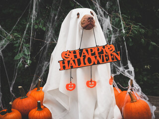 Happy Halloween. Charming, lovable brown puppy and ghost costume. Close-up, indoors. Studio shot....