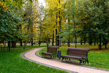 Path in the autumn park - 534936859