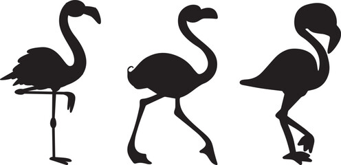 Set Flamingo vector silhouette's