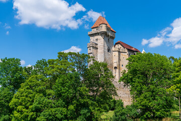 Fototapeta na wymiar Liechtenstein Castle, Maria Enzersdorf, Lower Austria, on the edge of the Wienerwald. Ancient medieval castle in a green forest. Sunny summer day.