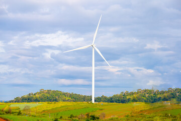 Wind farms for generating electricity, a clean alternative energy that does not cause pollution and negatively affect the global climate change.