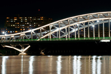 橋脚を一体とした構造とデザインが美しい白髭橋