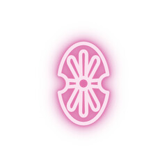 shield neon icon