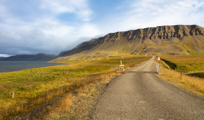 Eine Straße in Island im Herbst