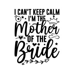 I Can't Keep Calm I'm Having Twins Shirt, Pregnancy Shirt, I'm Pregnant Shirt