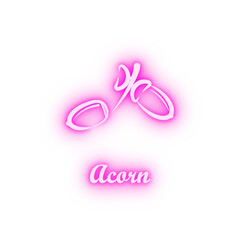 Crustaceans fruit acorn neon icon