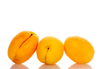 Three juicy pineapple apricots, close-up, isolated on white.