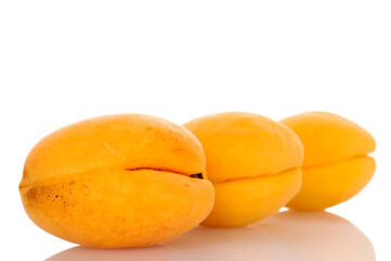 Fototapeta na wymiar Three juicy pineapple apricots, close-up, isolated on white.
