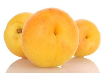 Three juicy pineapple apricots, close-up, isolated on white.