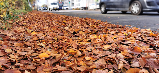 Obraz premium Piles of fallen leaves in the roadside of a Danish city in autumn 