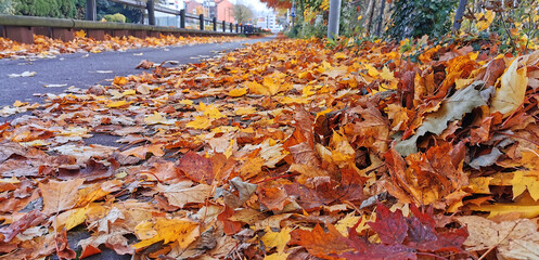 Piles of fallen leaves in the roadside of a Danish city in autumn 