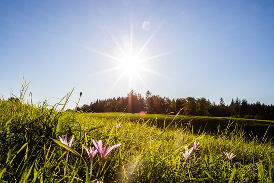 Sonniger Tag im Hardt bei Weilheim in Oberbayern