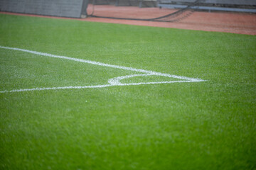 Fototapeta premium Maintenance of the lush green football field