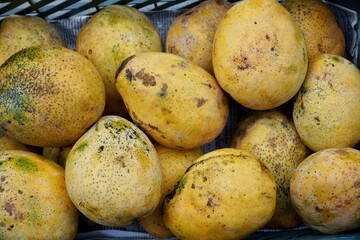Mangoes in the market. Yellow color sweet Indian variety of mango fruit.