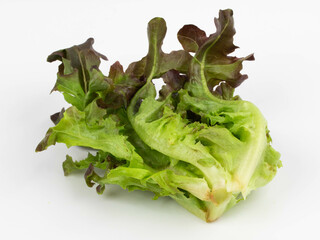 Fresh red oak lettuce isolated on white background top view.
