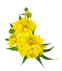 Yellow dissected rudbeckia flowers in a corner floral arrangement isolated
