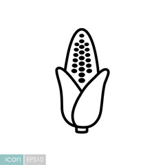 Corncob isolated vector icon. Vegetable sign