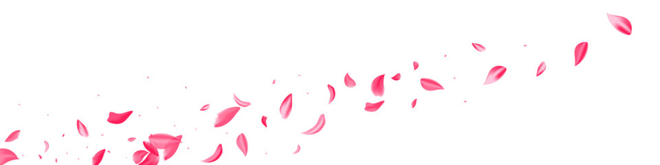 Beautiful Cherry Flying Vector White Panoramic