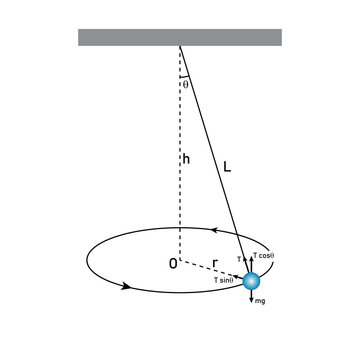 Conical Pendulum Diagram. Circular Motion.