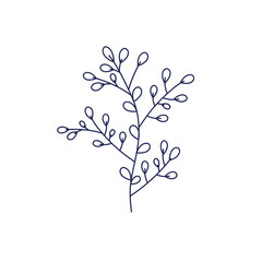 colorfull foliage botanical hand drawn decoration