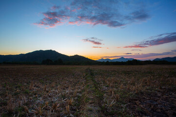 Obraz premium rice fields dry up after harvest with beautiful mountains and sunset in the background