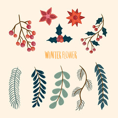 set of winter flowers hand drawn