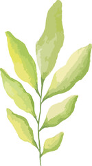 watercolor leaf minimal design 