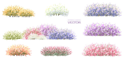 Vector watercolor blooming flower,tree or forest side view isolated on white background for landscape and architecture drawing,elements for environment or and garden,botanical for section in spring