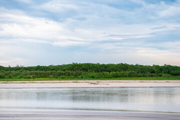 riverbank view of peruvian amazonian jungle