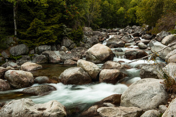 Naklejka na ściany i meble Mountain creek wirh rocks. Natural landscape in Carpathian mountains