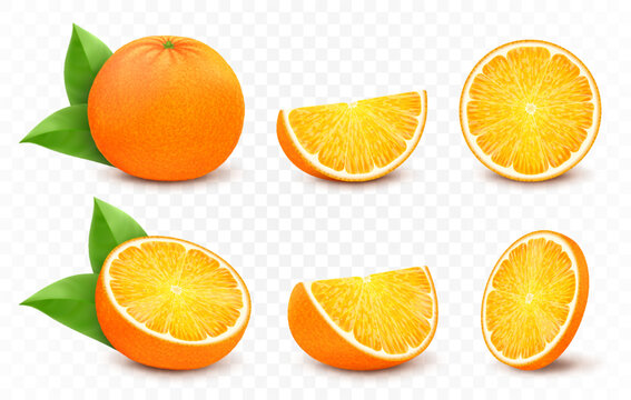 Orange with leaves, half, slice, circle and whole juicy fruit isolated on white background. Realistic 3d vector citrus set