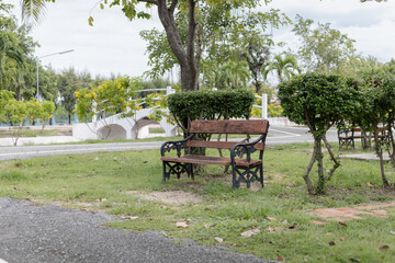 The bench in the park. Green garden for relaxation and exercise.