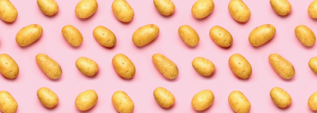 Raw potatoes on pink background