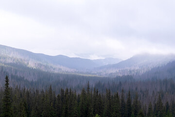 A great picture of a charming landscape with a view of the green stone mountains in the Polish Tatras