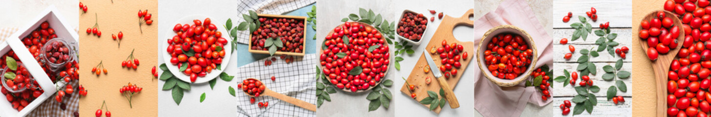Collection of healthy rose hip berries, top view