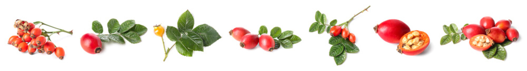 Collage of healthy rose hip berries on white background